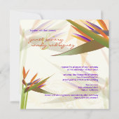 PixDezines-BIRD VON PARADISE/DIY-Hintergrundfarbe Einladung (Rückseite)