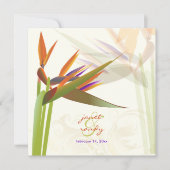 PixDezines-BIRD VON PARADISE/DIY-Hintergrundfarbe Einladung (Vorderseite)