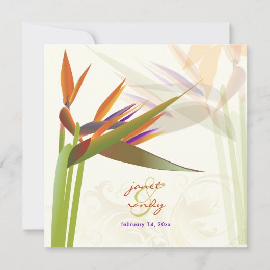 PixDezines-BIRD VON PARADISE/DIY-Hintergrundfarbe Einladung (Vorderseite)