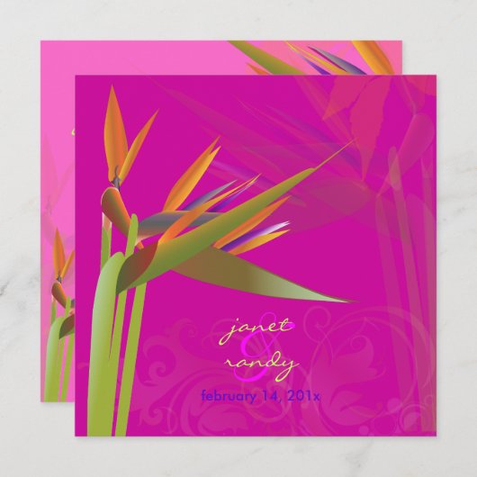 PixDezines BIRD VON PARADISE/DIY Hintergrundfarbe Einladung (Vorne/Hinten)