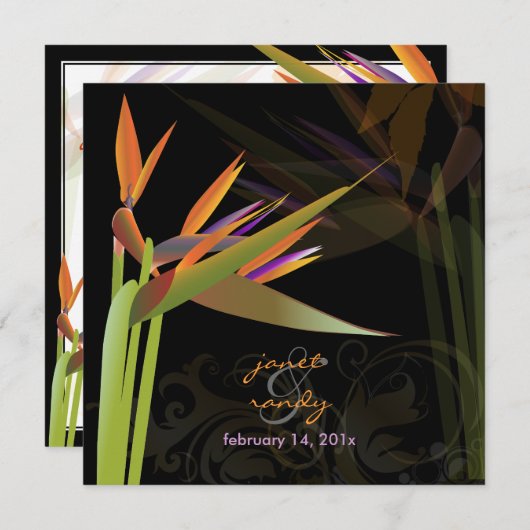 PixDezines BIRD VON PARADISE/DIY Hintergrundfarbe Einladung (Vorne/Hinten)