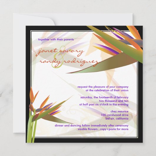 PixDezines BIRD VON PARADISE/DIY Hintergrundfarbe Einladung (Rückseite)