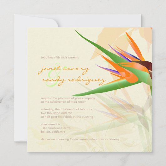 PixDezines BIRD VON PARADISE/DIY Hintergrundfarbe Einladung (Rückseite)