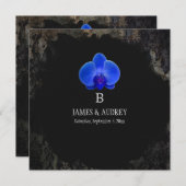 PixDezines blauer Orchid/grunge schwarzer Damast Einladung (Vorne/Hinten)