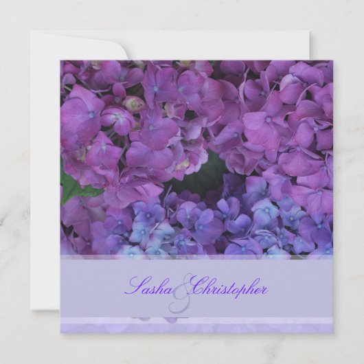 PixDezines Blue Hydrangea Einladung (Vorderseite)