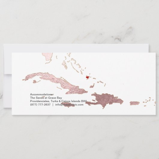 PixDezines Boarding Pass Rett Datum, Karibik Karte (Rückseite)