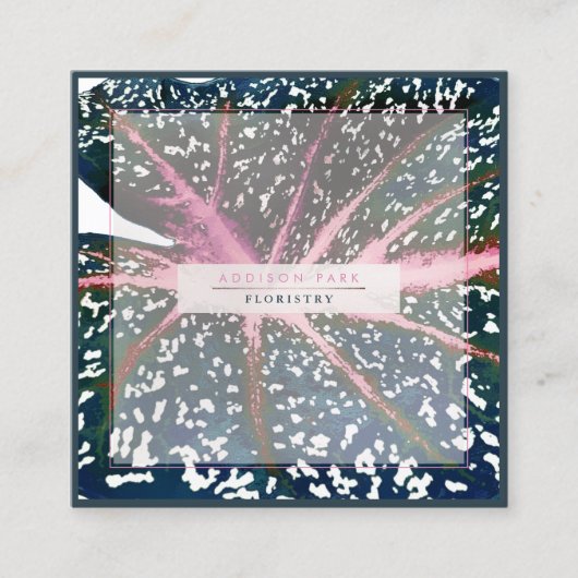 PixDezines Dark Green Caladium Coral Spine Quadratische Visitenkarte (Vorderseite)