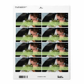 PixDezines DIY Foto-Adressetiketten (Vorne)