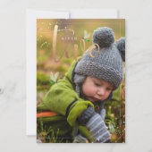 PixDezines Erkundung der Natur, Dragonflies 2. Einladung (Vorderseite)