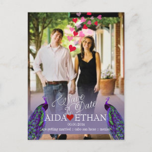 PixDezines Foto+Pfau/Save the Date Ankündigungspostkarte