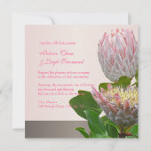 PixDezines frischen maui-Tee, blass pink/diy Einladung (Rückseite)