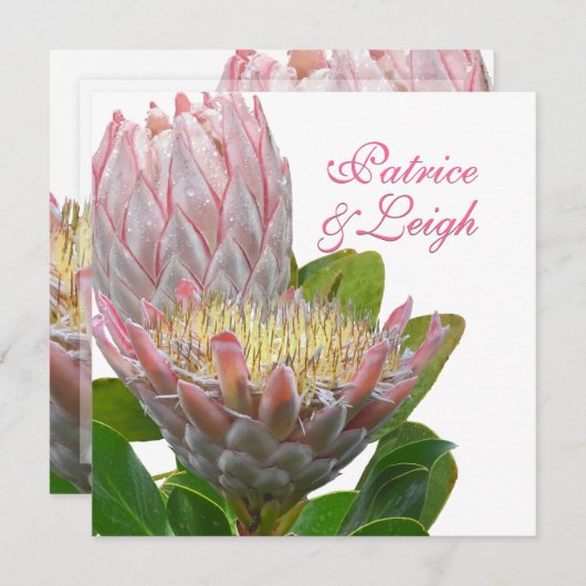 PixDezines frischen maui-Tee, blass pink/diy Einladung (Vorne/Hinten)