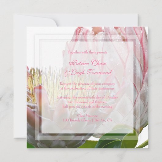 PixDezines frischen maui-Tee, blass pink/diy Einladung (Rückseite)