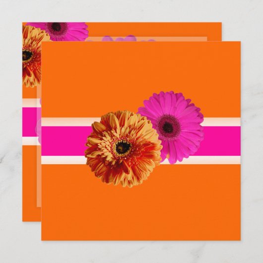 PixDezines Gerbera, Orage+Leidenschaft Rosa-/Deuch Einladung (Vorne/Hinten)