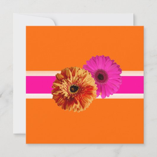 PixDezines Gerbera, Orage+Leidenschaft Rosa-/Deuch Einladung (Vorderseite)
