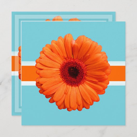 PixDezines Gerbera, orange/dunkle Hintergrundfarbe Einladung (Vorne/Hinten)