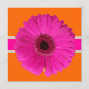 PixDezines Gerbera, rosa/DIY-Hintergrund/Event! Einladung