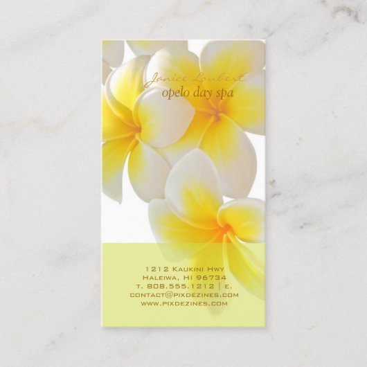 PixDezines Hawaii Plumeria Visitenkarte (Vorderseite)