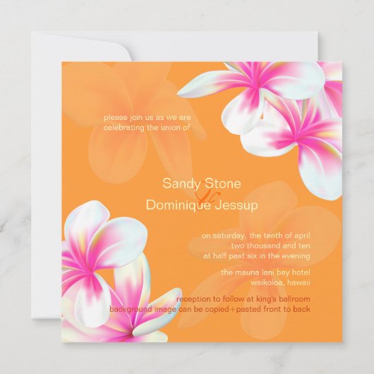 PixDezines-Hintergrundfarbe (heiß rosa Plumeria/DI Einladung (Rückseite)