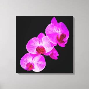 PixDezines Hintergrundfarbe Orchid/Hot-Pink/DIY Leinwanddruck
