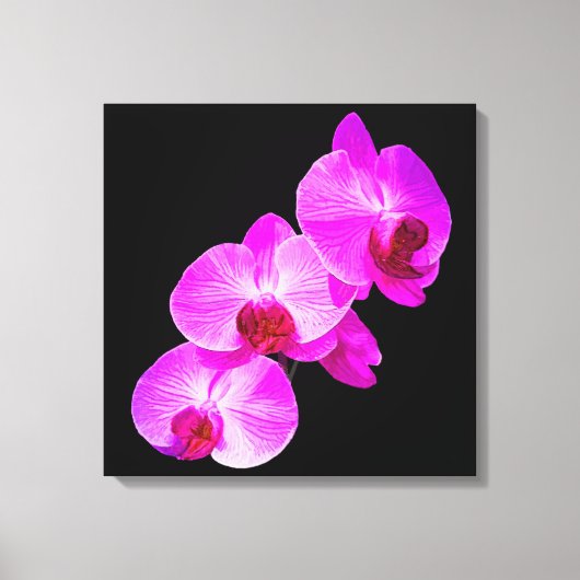 PixDezines Hintergrundfarbe Orchid/Hot-Pink/DIY Leinwanddruck (Vorderseite)