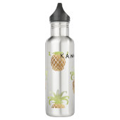 PixDezines Imitats Gold Ananas/DIY Hintergrund Trinkflasche (Links)