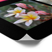 PixDezines instagram es, Poster 25-Fotos (Ecke)