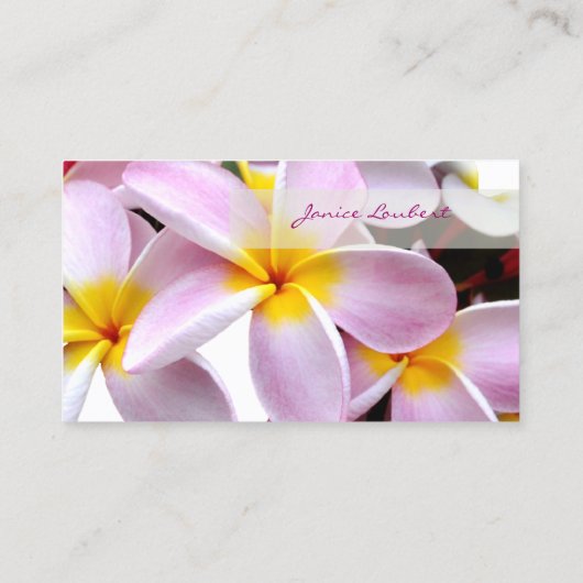 PixDezines KONA PINK PLUMERIAS Visitenkarte (Rückseite)
