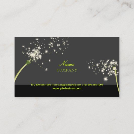 PixDezines-Leuchter/DIY-Hintergrundfarbe Visitenkarte (Rückseite)