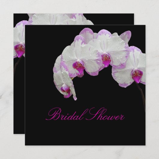 PixDezines-Moth-Orchideen/Fuschia Einladung (Vorne/Hinten)