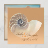 PixDezines nautilus, Deue Einladungen (Vorne/Hinten)