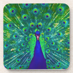 PixDezines Neon/psychedelische Pfauenfeder Getränkeuntersetzer