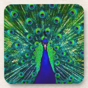 PixDezines neon/psychedelische Pfauenfeder Untersetzer