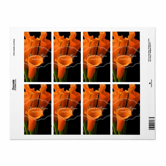 PixDezines orange calla lily/DIY Hintergrundfarbe! (Vorne)