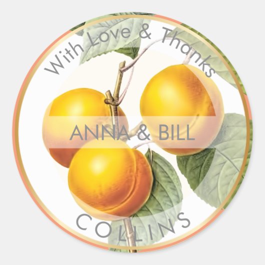PixDezines Orchard/Peaches/DIY Vielen Dank Runder Aufkleber (Vorderseite)