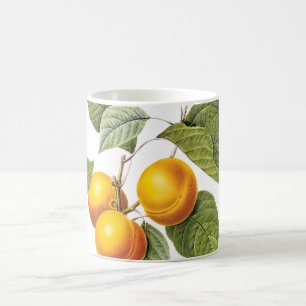 PixDezines Orchard/Pfirsiche/Redoute Kaffeetasse