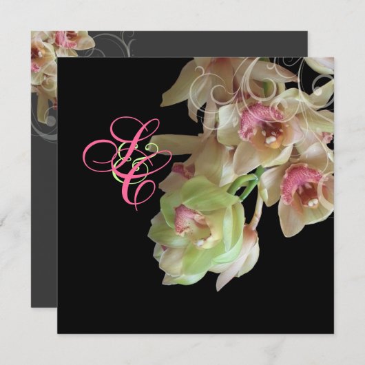 PixDezines Orchid + Ornamental Geblüht Einladung (Vorne/Hinten)