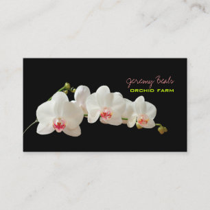 PixDezines Orchidee/DIY Hintergrundfarbe ♥♥♥ Visitenkarte