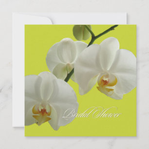 PixDezines Orchideen/Phalaenopsis Einladung