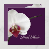 PixDezines orchids/Phalaenopsis Einladung (Vorne/Hinten)