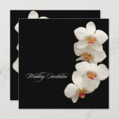 PixDezines orchids/Phalaenopsis Einladung (Vorne/Hinten)