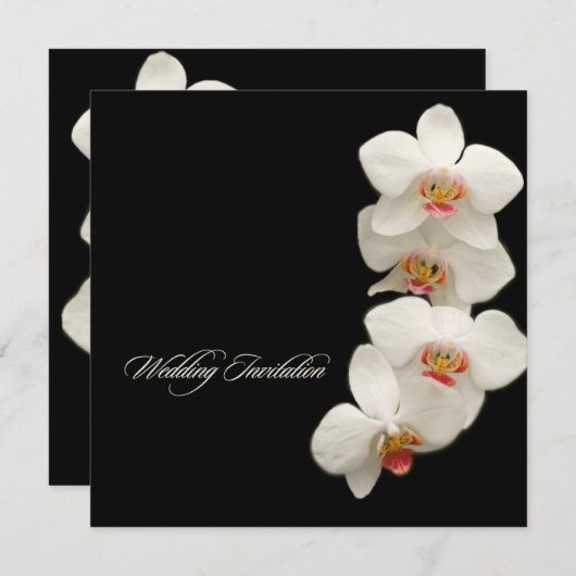 PixDezines orchids/Phalaenopsis Einladung (Vorne/Hinten)