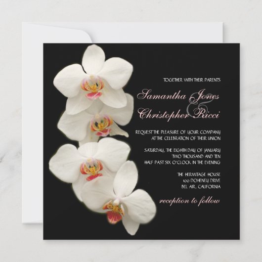 PixDezines orchids/Phalaenopsis Einladung (Rückseite)