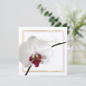 PixDezines orchids/Phalaenopsis Einladung (Stehend Vorderseite)