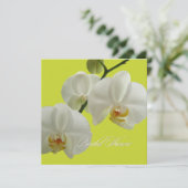 PixDezines orchids/Phalaenopsis Einladung (Stehend Vorderseite)