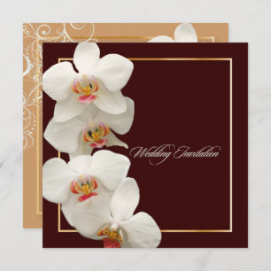 PixDezines orchids/Phalaenopsis Einladung