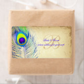 PixDezines Pfau/DIY Hintergrundfarbe (Insitu)