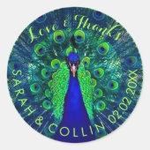 PixDezines-Pfau Runder Aufkleber (Vorderseite)