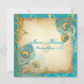 PixDezines Pfauenfeder/Aqua/Türkis (Vorderseite)