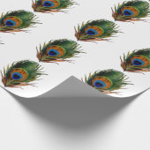 PixDezines Pfauenfeder/Deichhintergrund Geschenkpapier (Ecke)